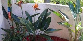 25182 Via Catalina Gallery 5