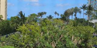 500 Ocean Trail Way Gallery 18