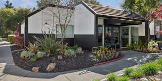 Arrive Sonoma Ridge Gallery 19