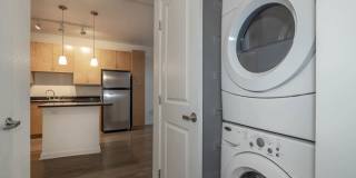 Arbour Square Apartment Gallery 46