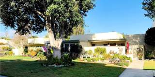 956 Calle Aragon Gallery 1