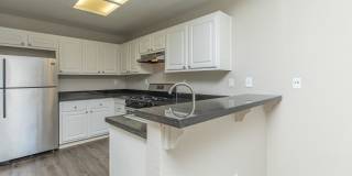 Avery at TownCentre Gallery 63