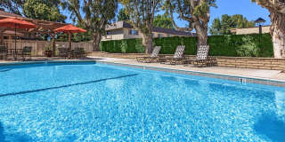 Cypress Pines Apartment Homes Gallery 8