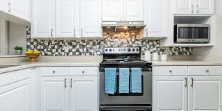 Solana Vista Gallery 34