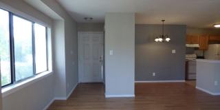 808 BRITTON PLACE Gallery 3