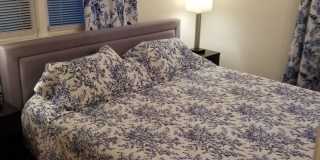 Beautiful Home Located in Historic Urbana Gallery 12