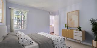 Summit At Warner Center Gallery 89