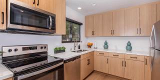 Mountain Springs Gallery 3