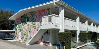 Palms on 31 Gallery 11