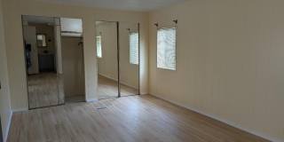 71 W Caribbean Gallery 10