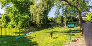 Annen Woods Annen Woods Gallery 30