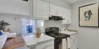 The Modern Gallery 9