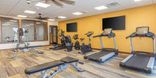 Seasons at Southpoint Gallery 13