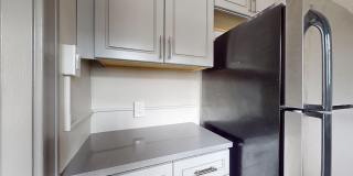 The Werner Gallery 6