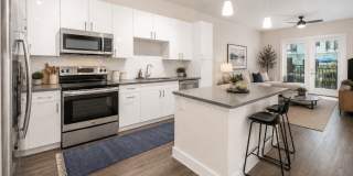 Society Westshore Apartments Gallery 11