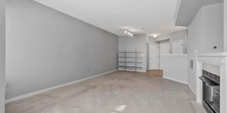 1625 INTERNATIONAL DR #321 Gallery 6