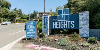 The Heights Gallery 21