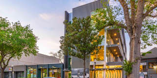 The Didion Gallery 12