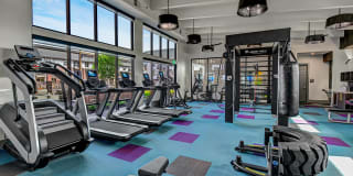 Bexley Champions Circle Gallery 10