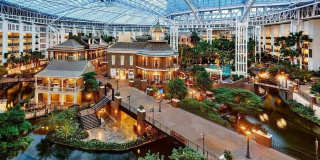 5815 ARBROATH DR Gallery 46