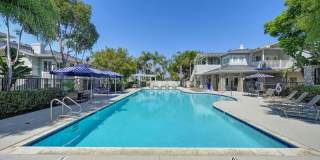 The Tradition Gallery 12