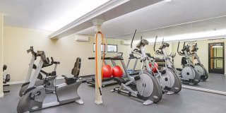 El Gato Penthouse Gallery 4