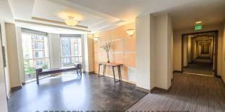 925 110th Ave NE Gallery 5