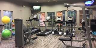 Lookout Hollow Gallery 7