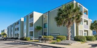 Close to the beach Gallery 13