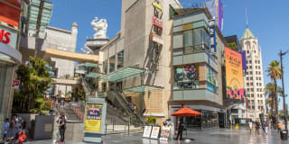 The Vantage Gallery 48