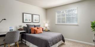 Edge DTC Gallery 7