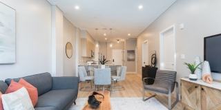 Cadence on Leo Gallery 7