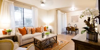 Liv Avenida Gallery 1