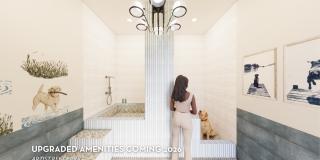 The Shores Apartments Gallery 13