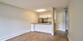 The Zimmer Gallery 1