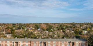 Sea Oats Sea Oats Gallery 10