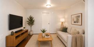509 Hicks Street Gallery 4