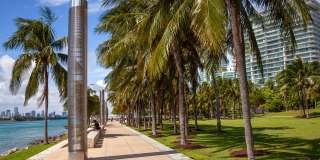 Flamingo Point Gallery 54