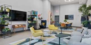 The Grand Gallery 24