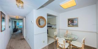 6001 BAHIA DEL MAR CIRCLE Gallery 9
