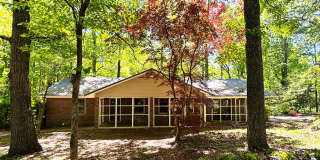 Private Wooded Retreat in Gainesville | 3 Bed | 2 Bath | Unfinished Basement Gallery 1