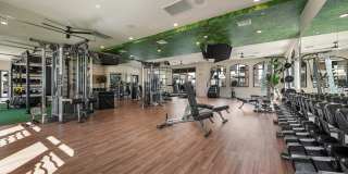 Solara Vista Gallery 37