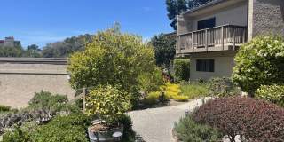 11 Montsalas Dr Gallery 18
