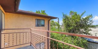 Don Quixote Gallery 15