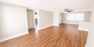Charming 2BD/2BTH Updated Home in Port Richey Gallery 4