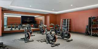 The Laurent Gallery 14