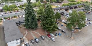 Cascade Village Gallery 19