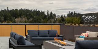 AMLI Redmond Way Gallery 4