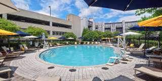 Cadence at Crown Apartments Gallery 18