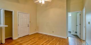 Walnut Springs Apartments Gallery 7